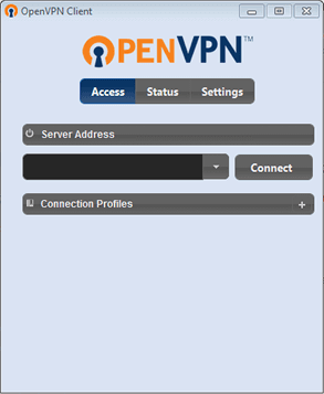 OpenVPN Client interface