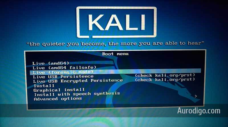 Kali Linux Live Screen
